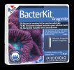 Bacter Kit Aragonite - 30 amp