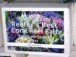 KorallenZucht - Best Coral Reef, Premium  1 kg
