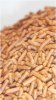 AB15-Marine Pellets medium 6 mm 300 g, dóza 480 ml, pelety pro mořské ryby