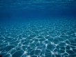 Mořská voda - organicky aktivovaná - 1 l
